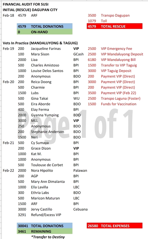 Susi Financials 1