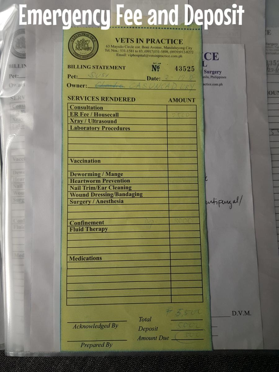 Susi Financials 4